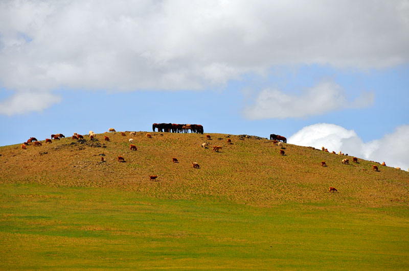 Mongolia
